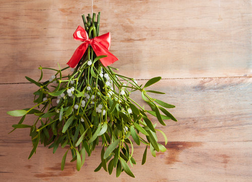 Broom from green mistletoe 