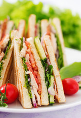 Club sandwich with chicken breast, bacon, tomato, cucumber and herbs