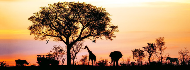 African Safari Silhouette Banner - obrazy, fototapety, plakaty