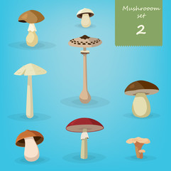 Mushroom illustration set