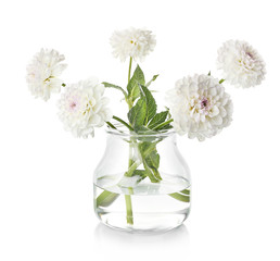 Beautiful white dahlia flowers in vase, isolated on white
