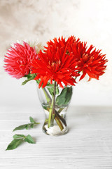 Beautiful dahlia flowers in vase on light background