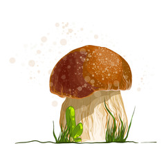 Vector illustration of mushroom.