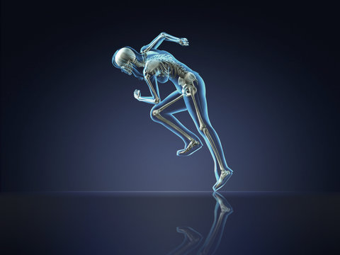 X-ray Fitness Woman Running
