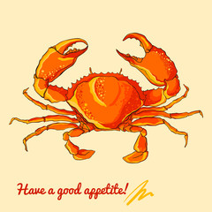 Vector illustration of crab.