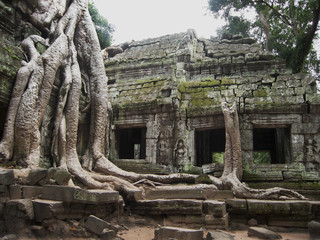 Cambodia - Ta Prohm Trees © TheFotos