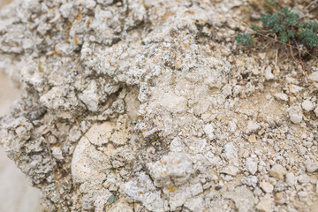 Texture of stone