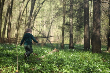 kid walks in forest