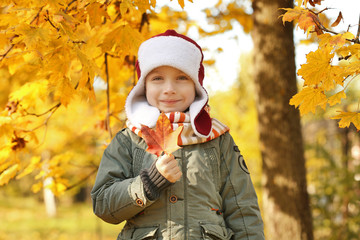 Portrait of cute little boy in  park