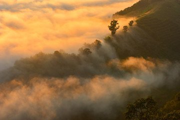 Mountain Mist in sunrise,mist on sunrise,mist over mountain during sunrise