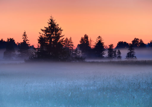 Sonnenaufgang im Moor, Nebelschwaden zaubern eine mystische Atmosphäre