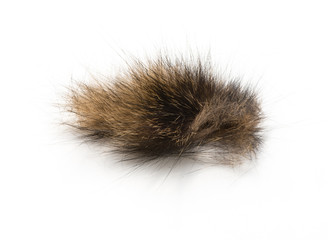 Cat fur isolated on white background. Allergy.