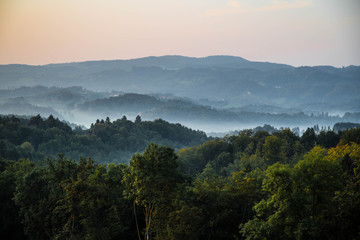 wunderschöner Sonnenaufgang in den Weinbergen im Herbst mit traumhaften Schattierungen und zarten Nebelschleiern