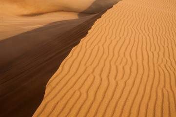 Sand dunes in Dubai desert