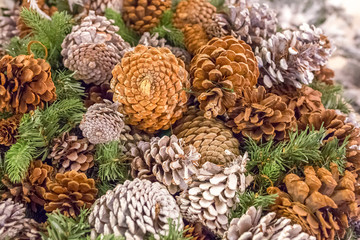 Pine cones with snow chrismas still life