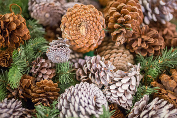 Pine cones with snow chrismas still life