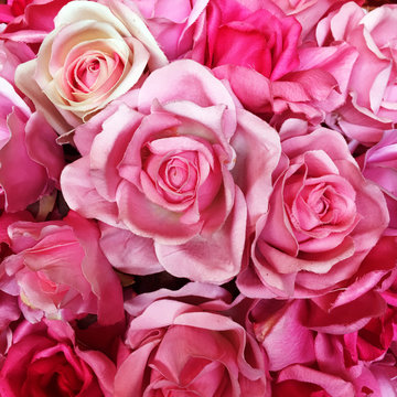 Rose red and pink paper