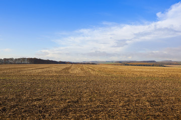 agricultural landscape in autumn