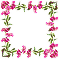 Pattern of pink flowers on a white background 