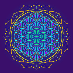 color mandala sacred geometry illustration.