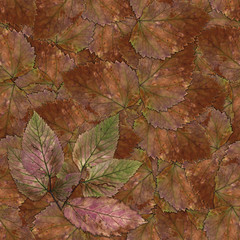 seamless background pattern texture of stone berry leaves (set 1