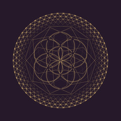 vector mandala sacred geometry illustration.