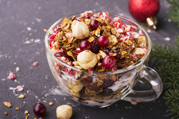 Home fresh crunchy granola with hazelnuts, dried cranberries, Christmas candy stick Santa Claus, in a transparent cup  milk on  festive breakfast in the family circle. Against the background of  tree