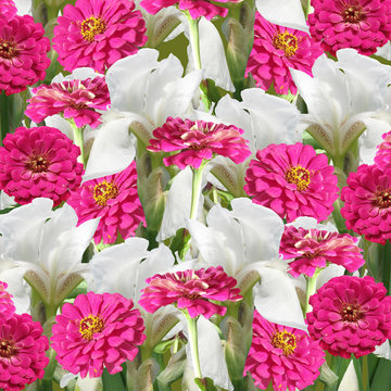 Beautiful floral background of white irises and pink tsiny 
