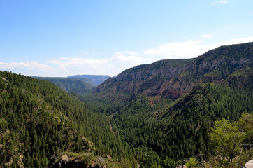 Naklejka premium Oak Creek Vista