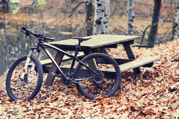 Fototapeta premium bike on the forest path