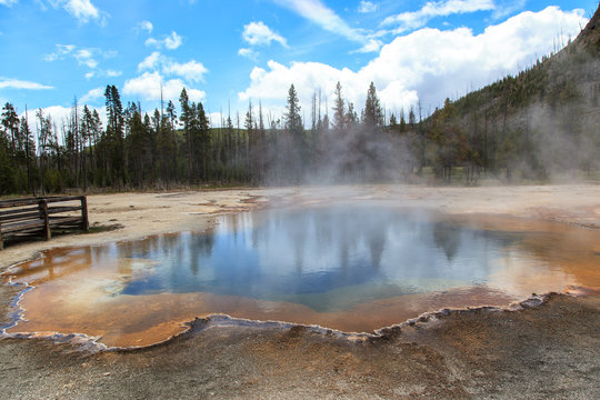Forests and geysers in Yellowstone.