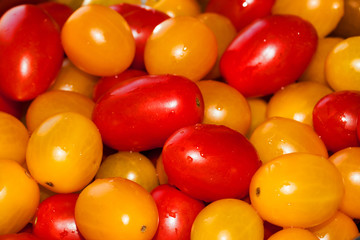 tomatoes - 127851523