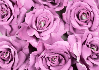 Roses background