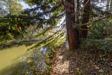 A view of the arboretum in Istanbul, Turkey