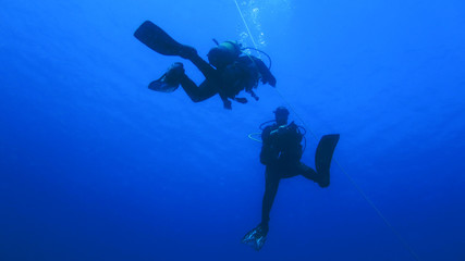 Obraz na płótnie Canvas Silhouette scuba diving.