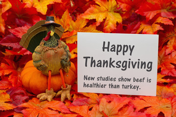 Funny Happy Thanksgiving Greeting