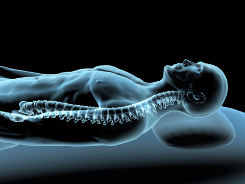 Reclining Man with X-ray Spinal Column