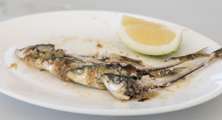 Bones of five eaten Sardines, on a white plate. with the head and tails intact, and a wedge of Lemon on the side