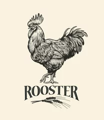 Foto op Plexiglas Illustration of the cock in Vintage engraving style. Rooster grunge label. Sticker image for the farms and manufacturing depicting rooster. Grunge label for the chicken product. © FoxyImage