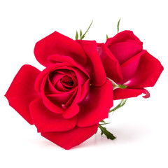 red rose flower bouquet isolated on white background cutout