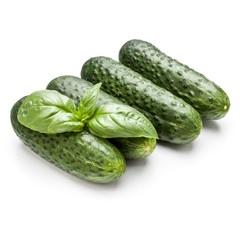 Cucumber vegetable and basil leaves isolated on white background
