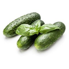 Cucumber vegetable and basil leaves isolated on white background