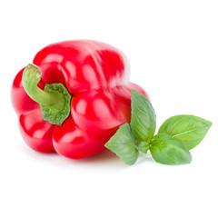 one sweet bell pepper isolated on white background cutout