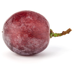 Red grape berry  isolated on white background cutout
