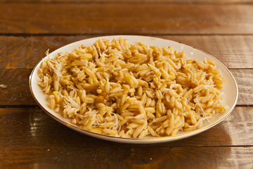 delicious tasty sprouts on beautiful plate