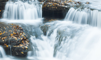 waterfall in the forest