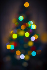 New Year Background with defocused lights of a fir tree