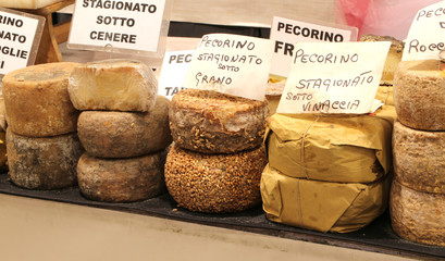many types of pecorino cheese of the Italian written the cheese
