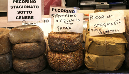 many types of pecorino cheese of the Italian written the cheese