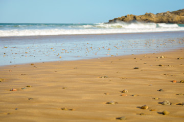 Galets et coquillages 